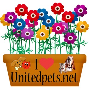 a unitedpets flower greeting